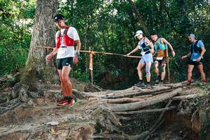 BIB: 
                            <button type="button" onclick="openModal(27301879)" class="btn btn-primary btn-sm float-right btn-popup" data-toggle="modal" data-target=".modal-high-quality">
                        <i class="fas fa-shopping-cart"></i> Add to Cart
                    </button>
                                            <button type="button" onclick="isThisMe(27301879, true)" class="btn btn-success btn-sm float-right btn-popup btn-isme hidden" data-toggle="tooltip" data-placement="bottom" title="นี่คือรูปของคุณใช่ไหม คลิกที่นี่เพื่อเอาเข้าอัลบั้ม">
                        <i class="fas fa-plus"></i> Add to album
                    </button>
                    <button type="button" onclick="isThisMe(27301879, false)" class="btn btn-warning btn-sm float-right btn-popup btn-isnotme hidden">
                        <i class="fas fa-ban"></i> Remove from album
                    </button>